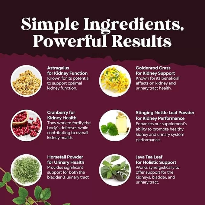 Natures Craft Advanced Kidney Cleanse & Urinary Tract Support – Cranberry, Uva Ursi, Stinging Nettle & Astragalus – Vegan – 60 Capsules — image 3
