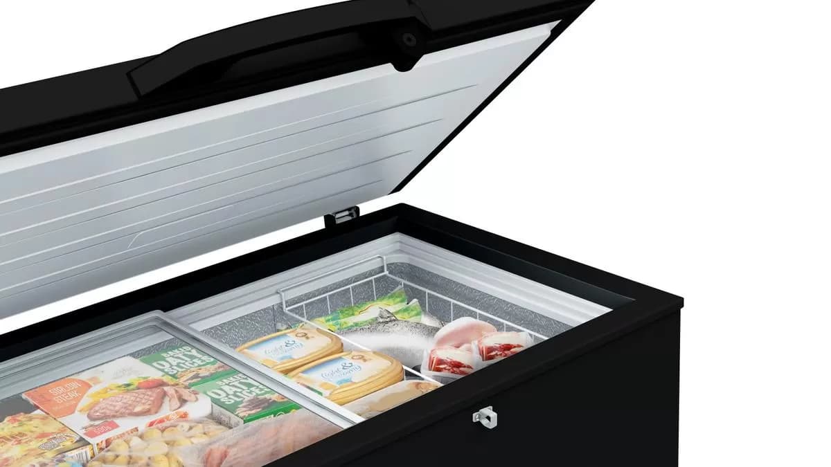 Hisense FC320SH 250L Chest Freezer — image 2